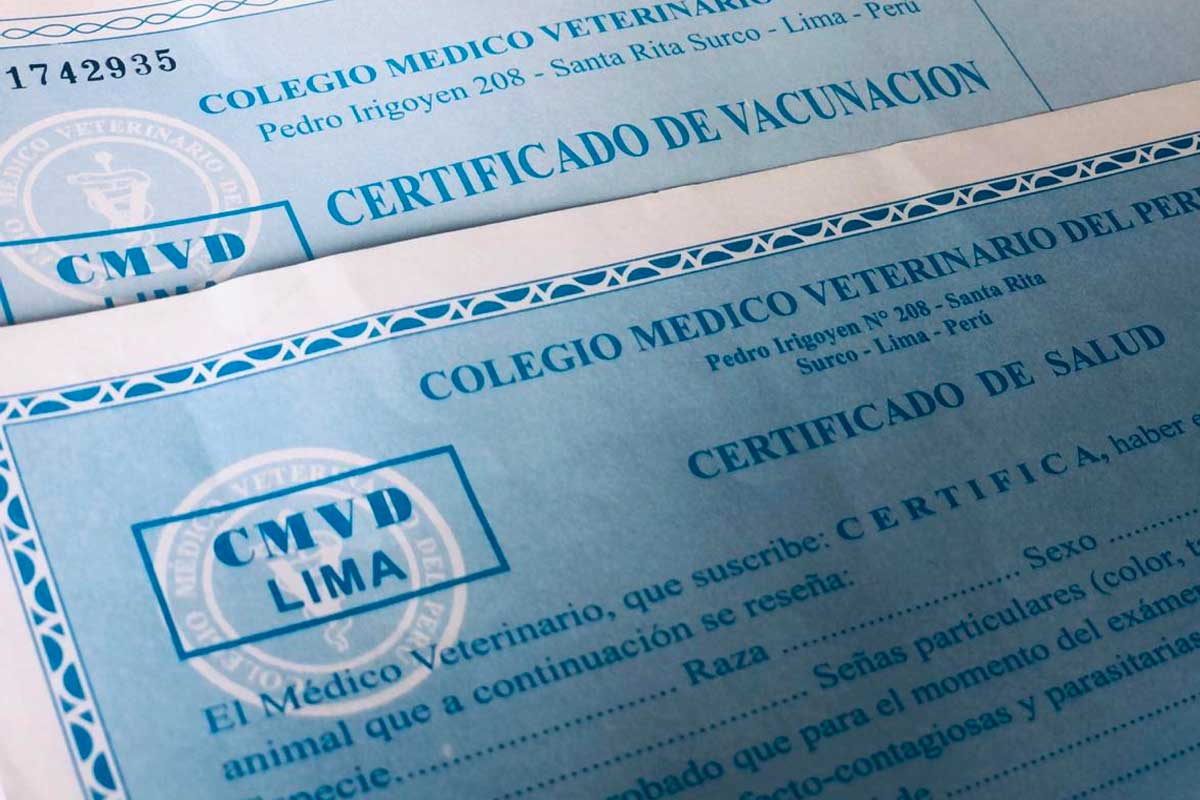 certificados