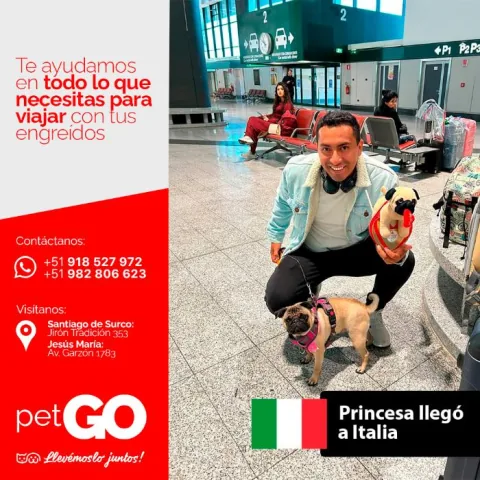Familias y mascotas que viajaron con PetGo