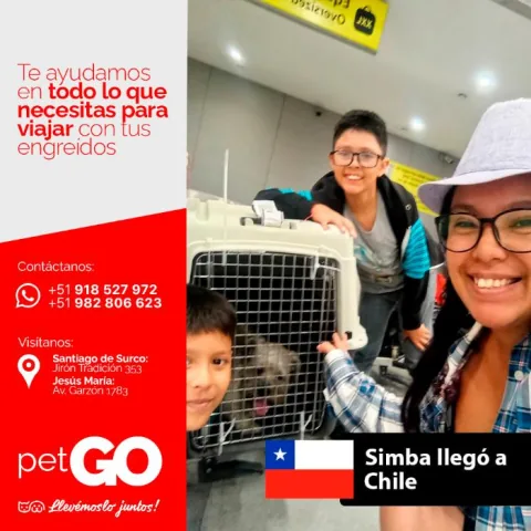 Familias y mascotas que viajaron con PetGo